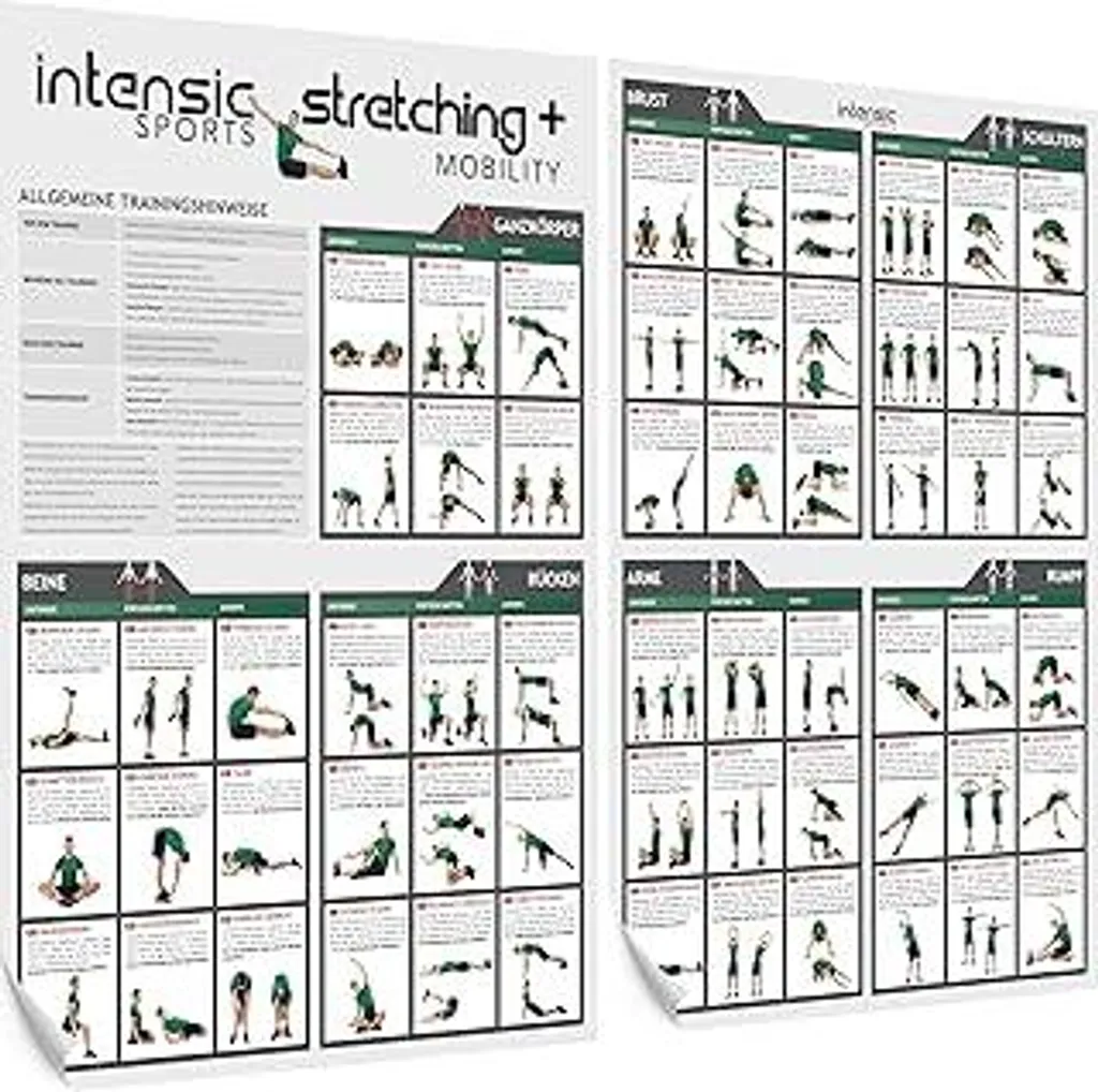 intensic SPORTS Poster 60 Esercizi Stretching: Mobilità Senza Attrezzi
