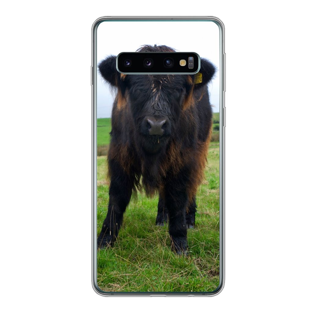 MuchoWow Handyhülle Schutzhülle Hülle für Samsung Galaxy S10 Schottische Highlander - Kühe - Natur - Grün - Gras Silikon Softcase Handy Hü...