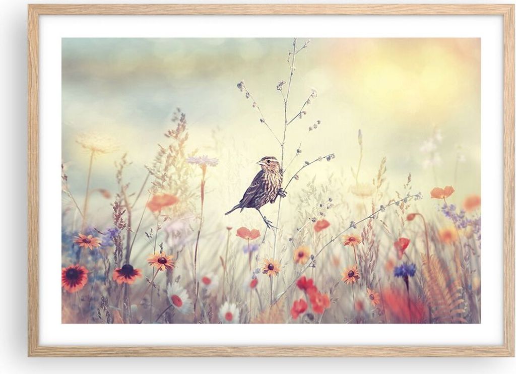 Gerahmtes Poster - Rahmen in heller Eiche - Vogel Wildschwein Wiese - 70x50 cm - Wand Bild - Wanddeko - Wandbilder - Wandposter - Bilderrahmen - Bi...