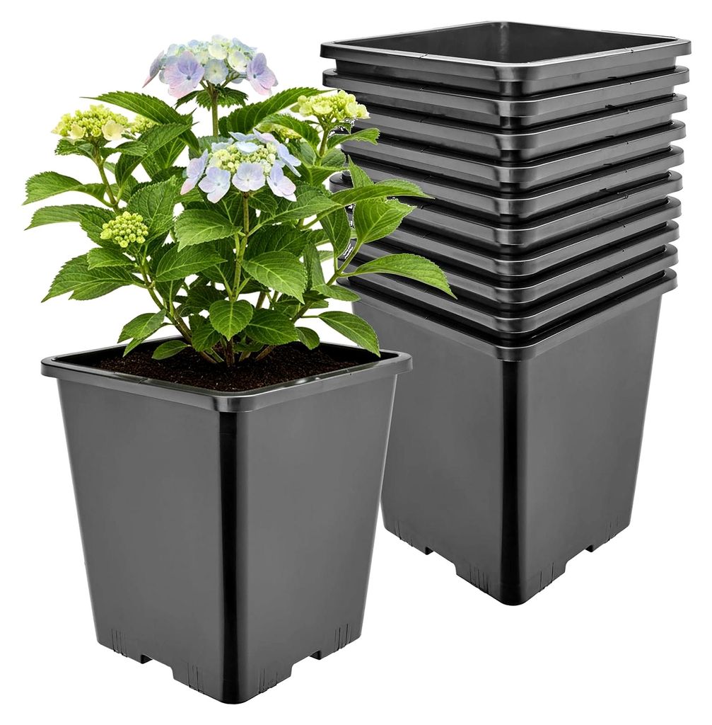 Pflanztopf Kunststoff hoch 20,5 x 20,5 x 23,5 cm (7L) 10er Set eckig mit Drainagelöchern Blumentopf PP Pflanzgefäß für Garten Gewächshaus Balk...