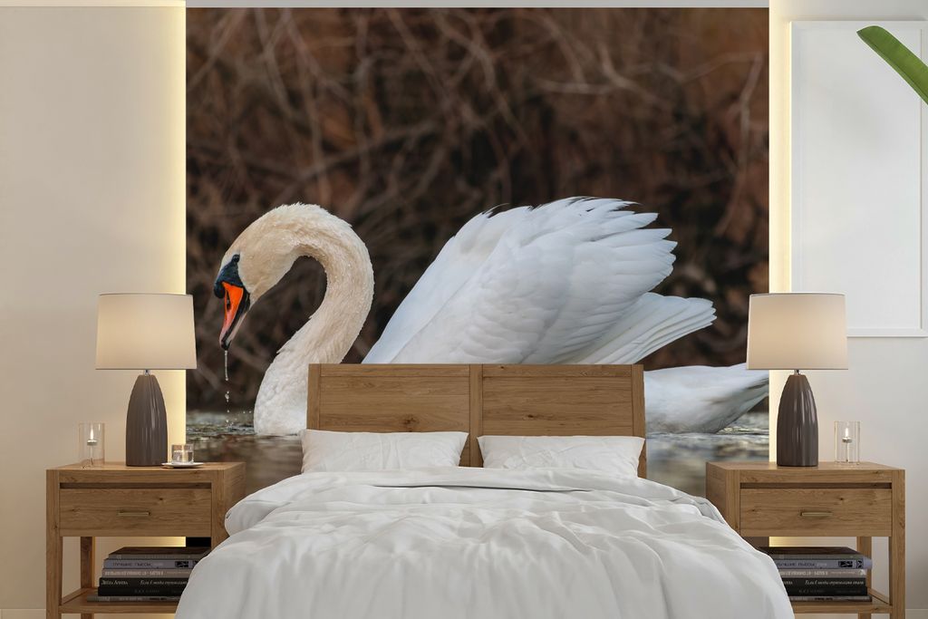 MuchoWow Fototapete für Wohnzimmer oder Schlafzimmer Wandtapete Vinyl Motivtapete Schwan - Wasser - Tiere - Vogel - 280x280 cm - Hintergrundbild