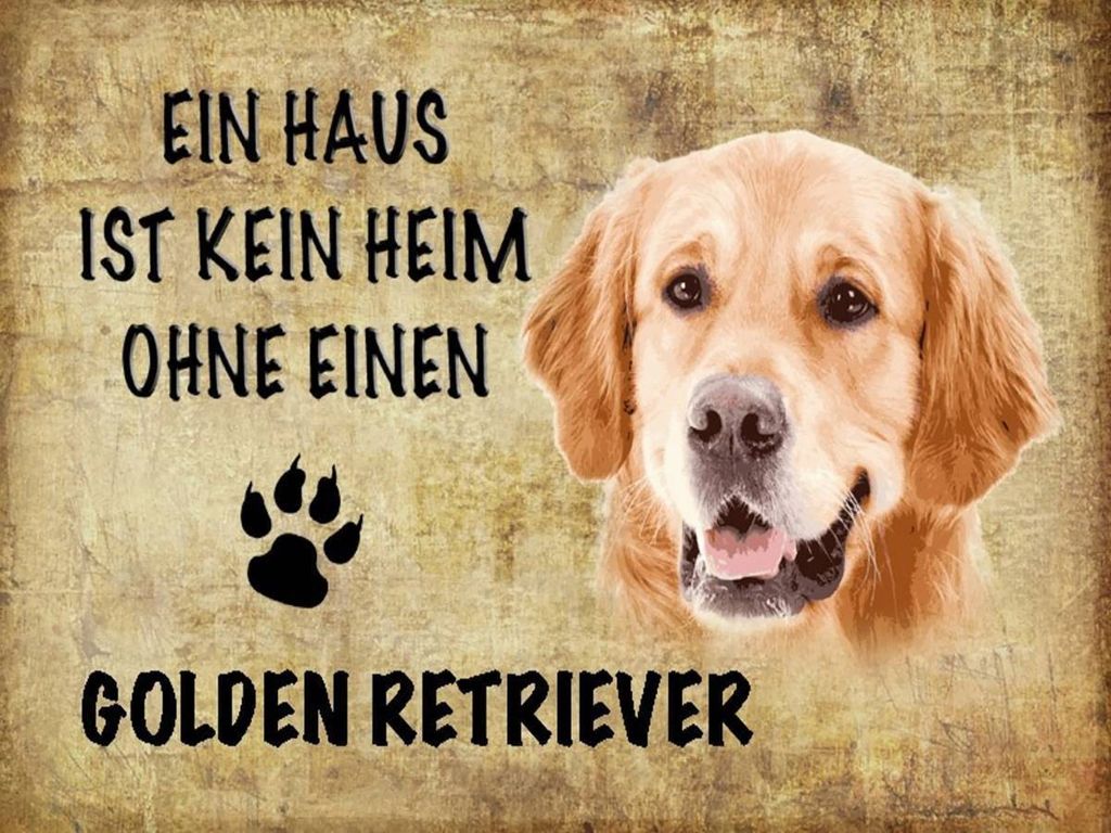 vianmo Holzschild 30x40 cm Golden Retriever Hund