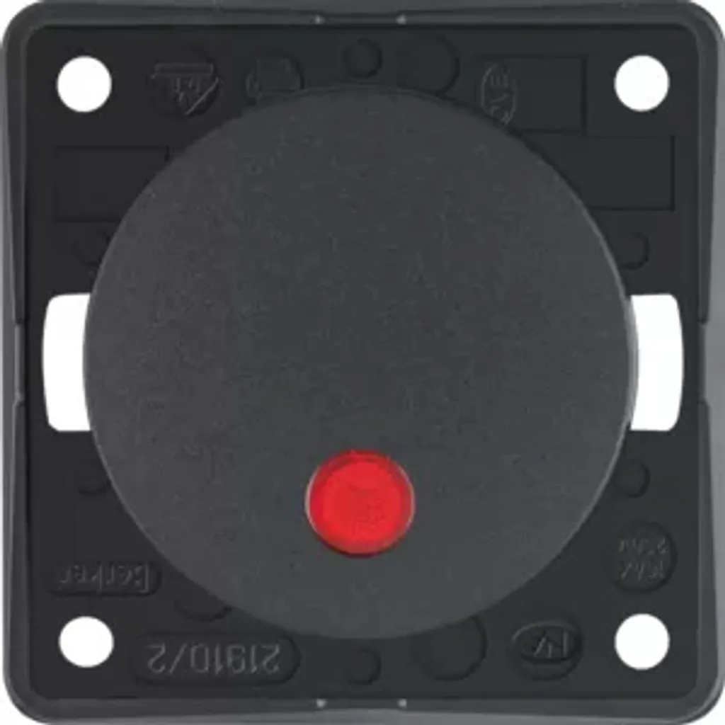 Prise de contact Berker 2P apparent Anthracite Flow Pure 937522505