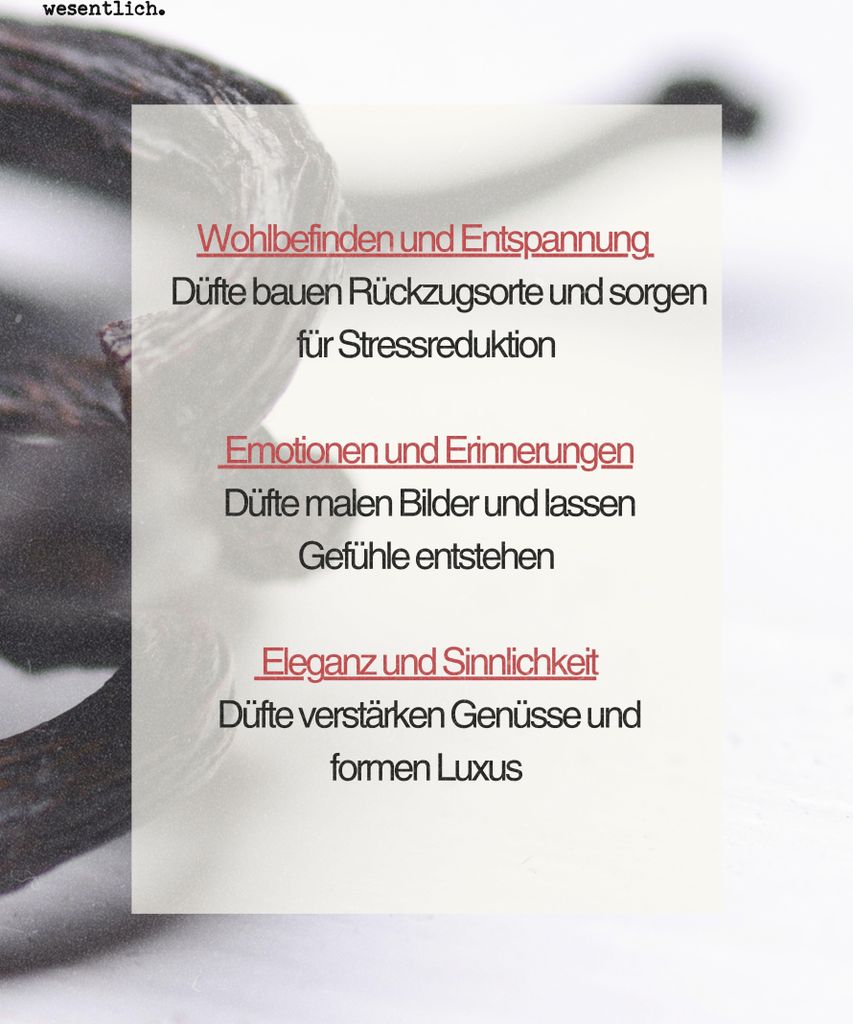 Jasmin Duftöl, 10ml – blumig & intensiv, hergestellt in Produktbild 