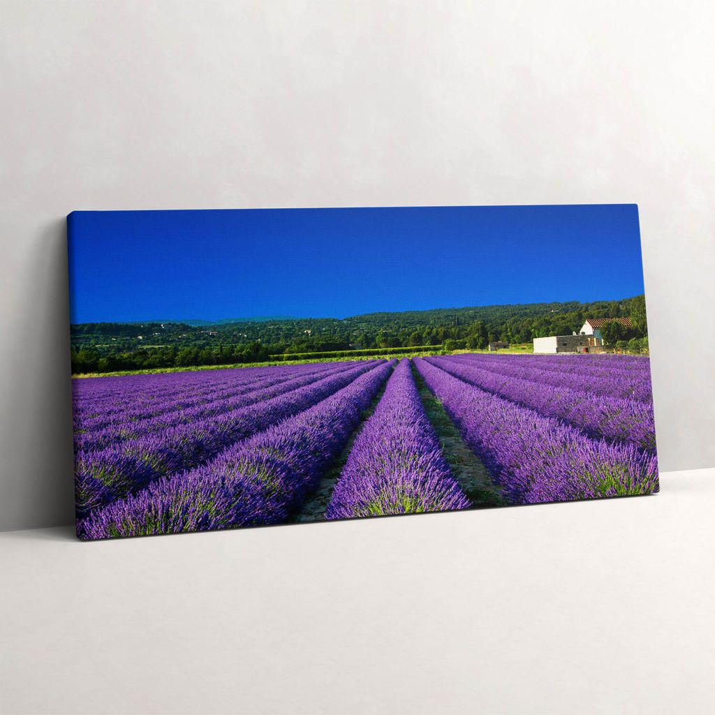Lavendelfeld in der Provence – Leinwandbild Wandbild – 140x70 cm – Leinwandbilder – Wandbilder – Schlafzimmer – Flur