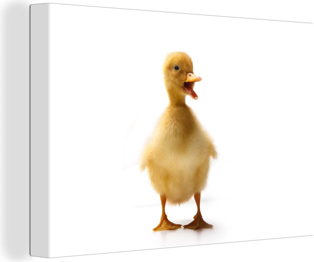 OneMillionCanvasses - Leinwandbilder - 140x90 cm, Baby-Ente kommuniziert, Wandbilder Kunstdruck Wanddekoration