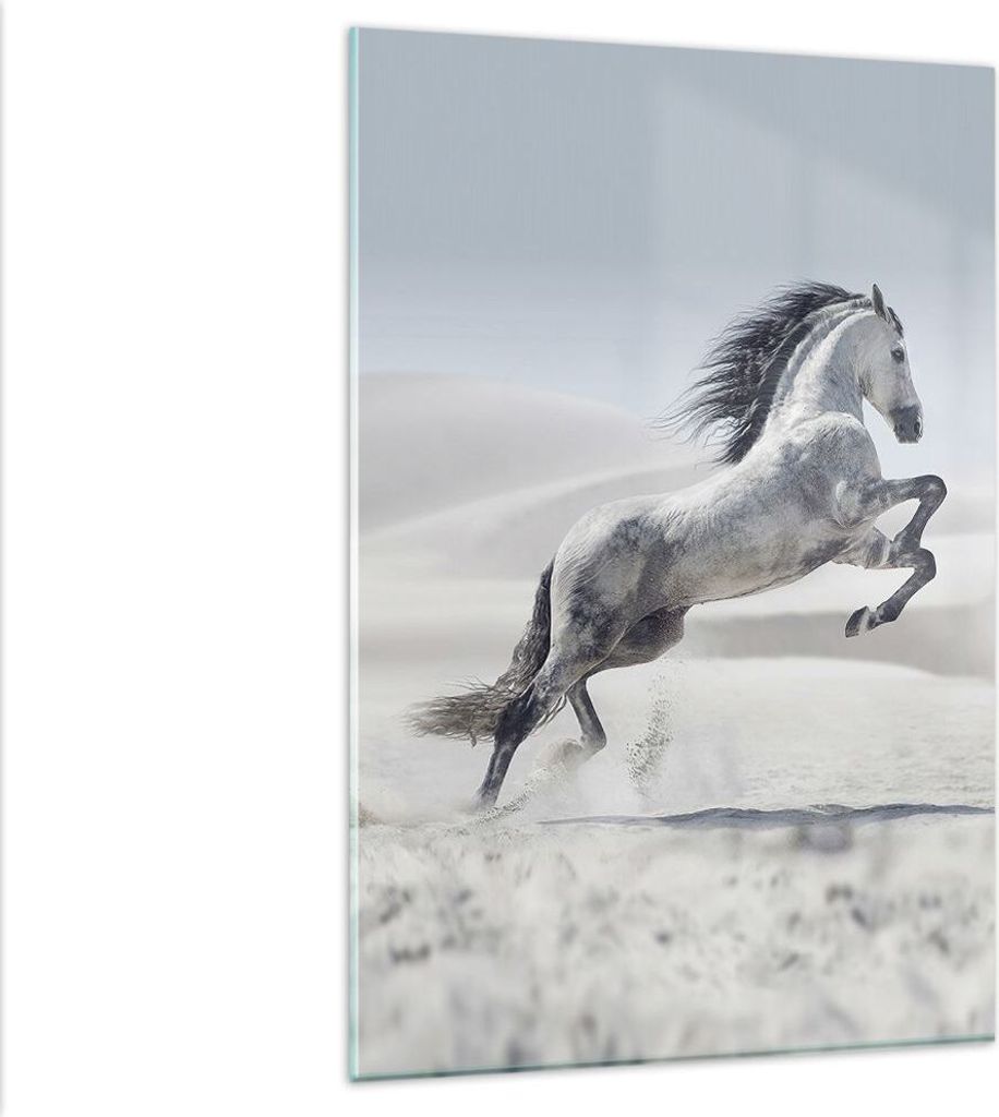 Bilder auf glas - Einteilig - Pferd Tier Natur - 80x120cm - Glasbilder - Wandbilder - Bilder - zum Aufhängen bereit - Wanddekoration aus Glas - Gl...