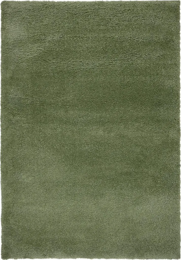 Tapis de Salon Shaggy Olive 160x230 cm - Tapis Moelleux Effet Teddy