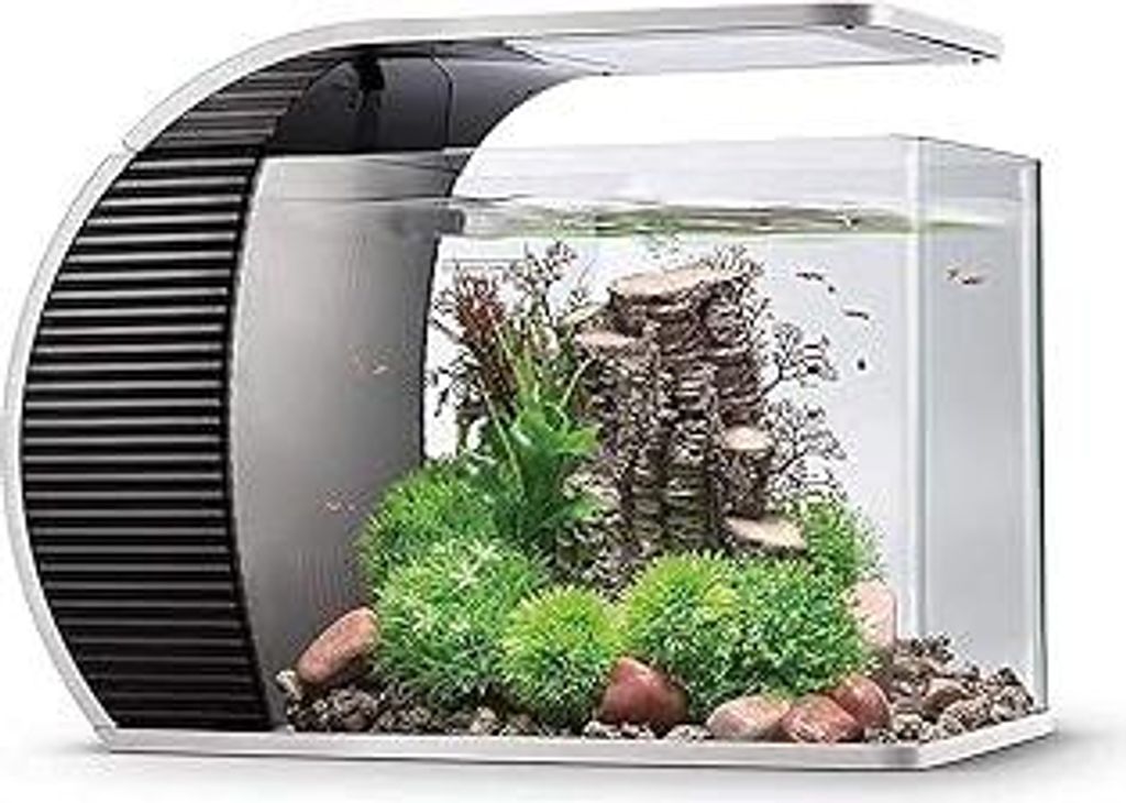 hygger LED Glasaquarium-Set Fish Tank19 Liter Aquarium, Panoramaaquarium geschwungene Frontscheibe mit verborgenem Filter, LED-Beleuchtung (3 Farbm...
