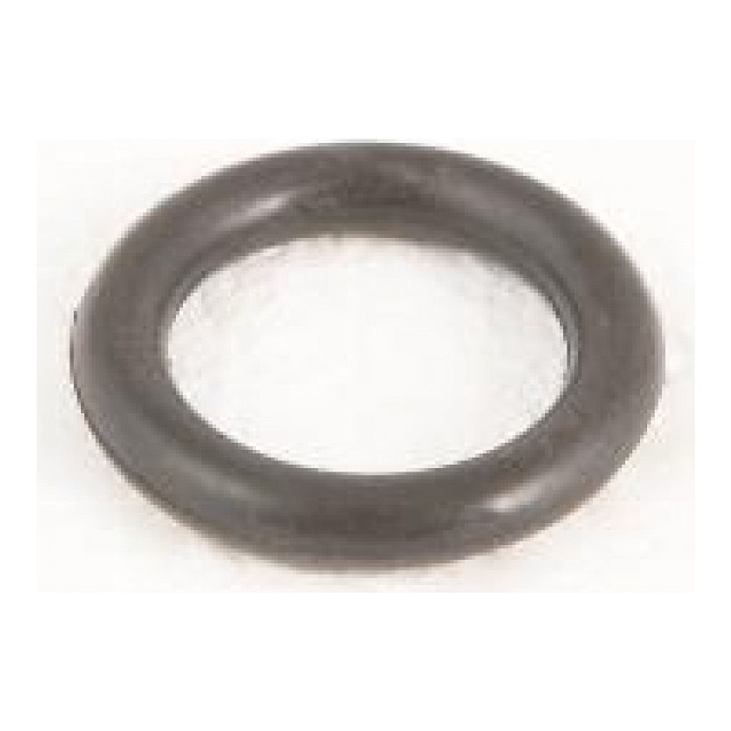 Bestway O-Ring Entlüftungsschraube Filterpumpe