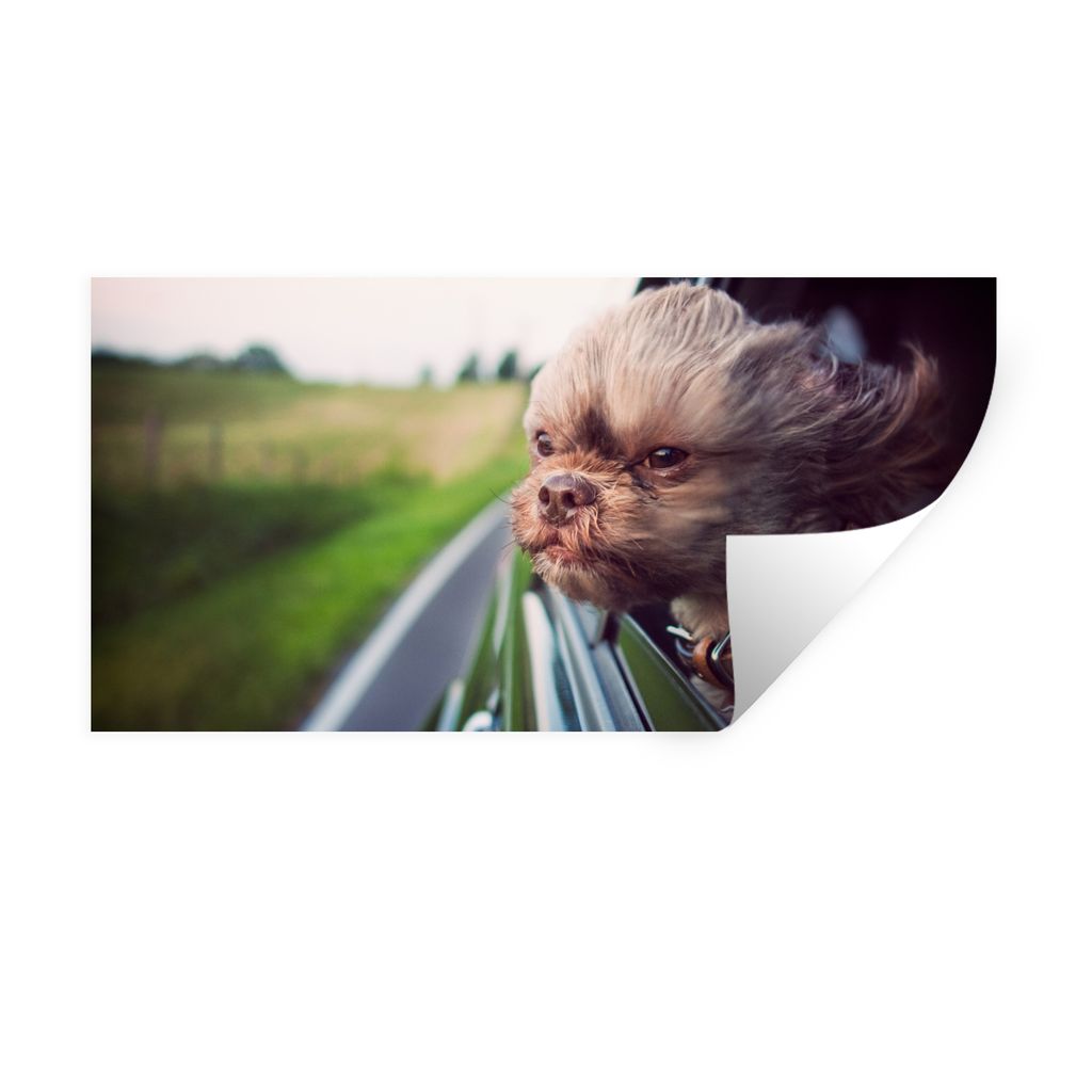 MuchoWow Wandtattoo Wandsticker Wandaufkleber Hund - Auto - Tier 40x20 cm Selbstklebend und Repositionierbar - Aufkleber