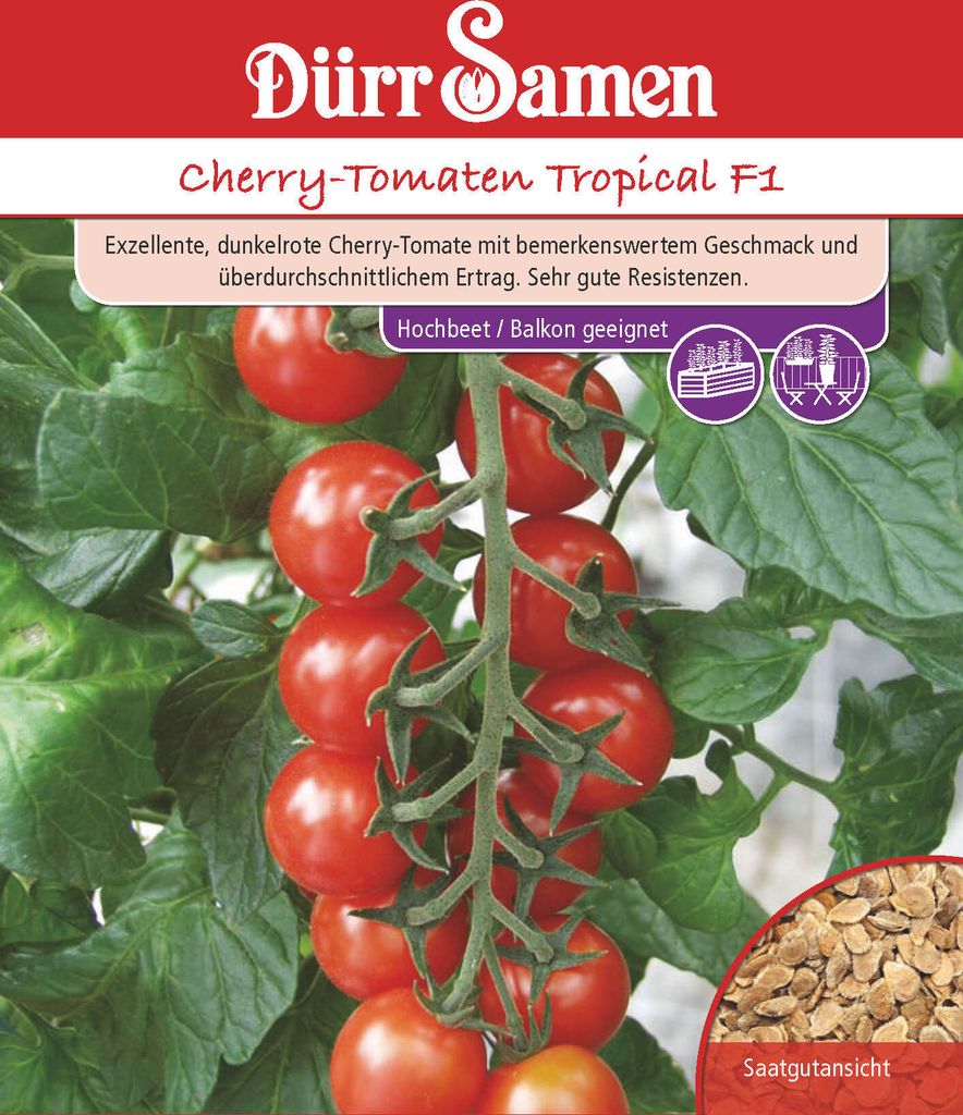 Kirschtomate Tropical F1 | Kirschtomatensamen von Dürr Produktbild 