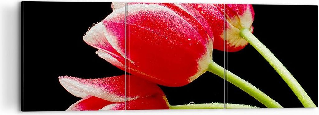 Bild auf Leinwand - Leinwandbild - Tulpe garten blume blumenstrauß - 120x40cm - Wand Bild - Wanddeko - Leinwanddruck - Bilder - Kunstdruck - Leinw...