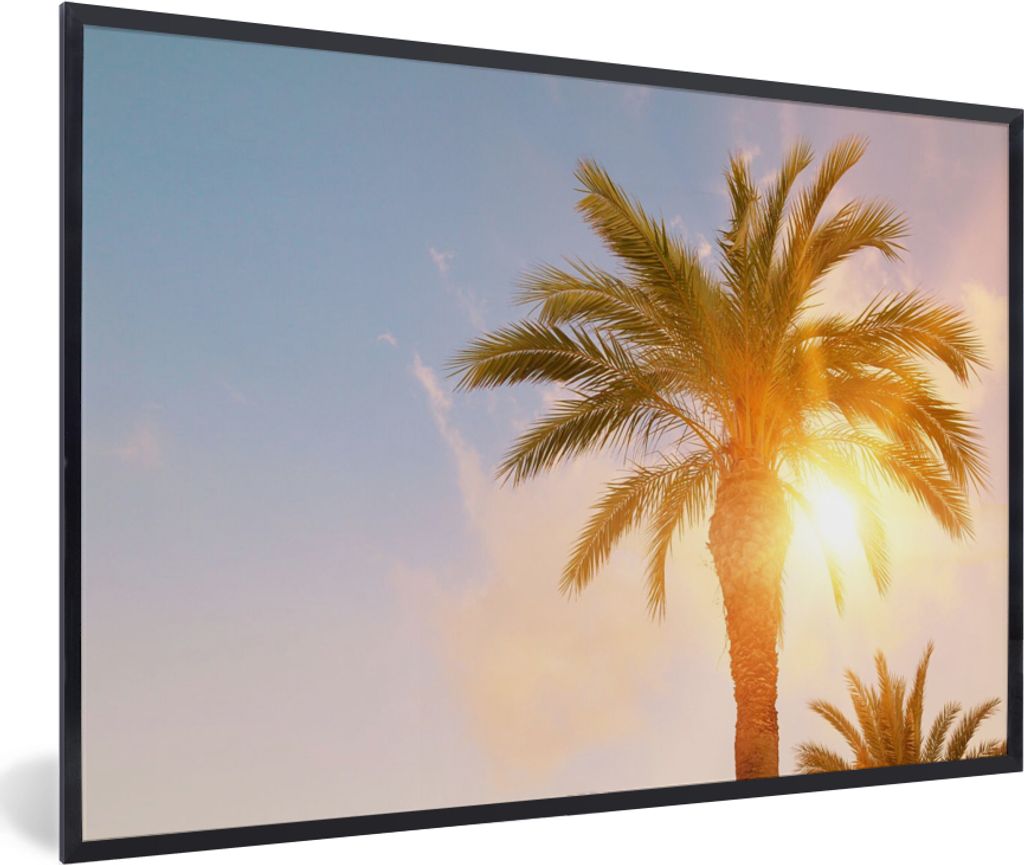 MuchoWow Gerahmtes Poster Palme - Sommer - Sonne - Tropisch 60x40 cm - Poster mit Schwarzem Bilderrahmen Wandposter Rahmen Foto Bilder - Printing...