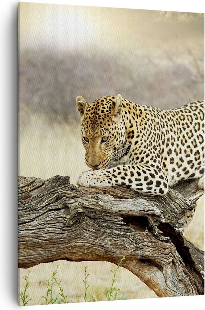 Bild auf Leinwand - Leinwandbild - Einteilig - Afrika Leopard Katze Safari - 70x100cm - Wand Bild - Wanddeko - Wandbilder - Leinwanddruck - Wanddek...