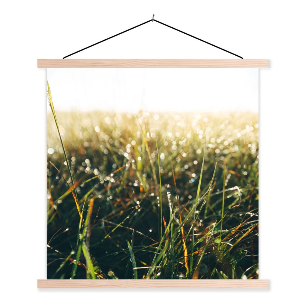MuchoWow Textilposter Rasenfläche - Pampasgras 40x40 cm mit holzfarbenen Rahmen - Posterleiste