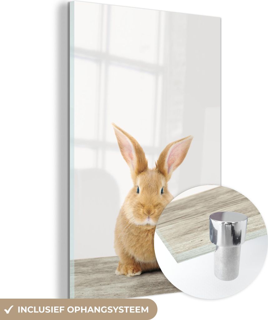 MuchoWow Glasbilder - Bilder auf Wandbild - Foto auf Glas Kaninchen - Babykaninchen - Tiere - Kinder - Mädchen - Jungen 80x120 cm Wanddekoration a...
