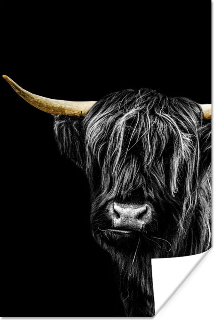 MuchoWow Poster Schottisches Hochlandrind - Gold - Schwarz 60x90 cm - Wanddekoration