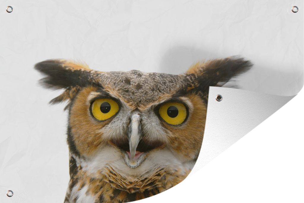 MuchoWow 90x60 cm Outdoor-Poster Gartendeko Sichtschutz Garten Poster für den Garten Eule - Vogel - Porträt