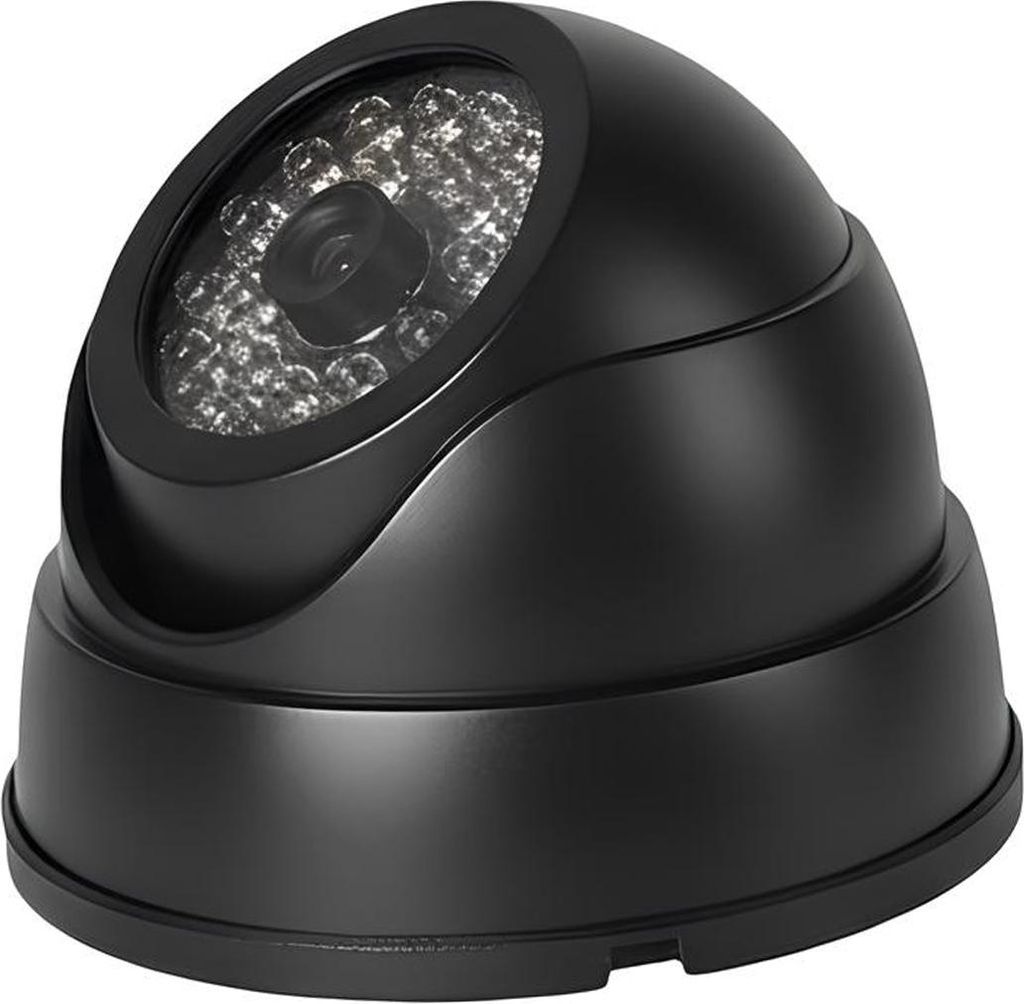 Avizar, Attrappen-Kamera Dome für Innen- und Außenbereich mit LEDs, Schwarz