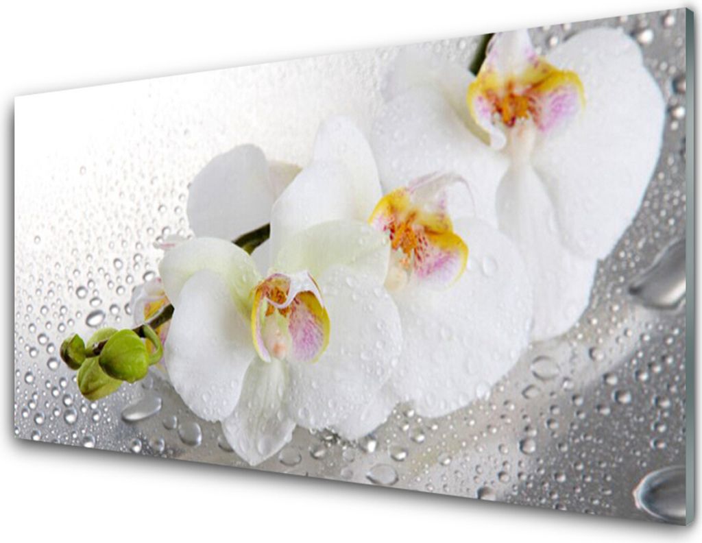 Acrylglasbilder 100x50 Wandbild Druck Blumen Pflanzen