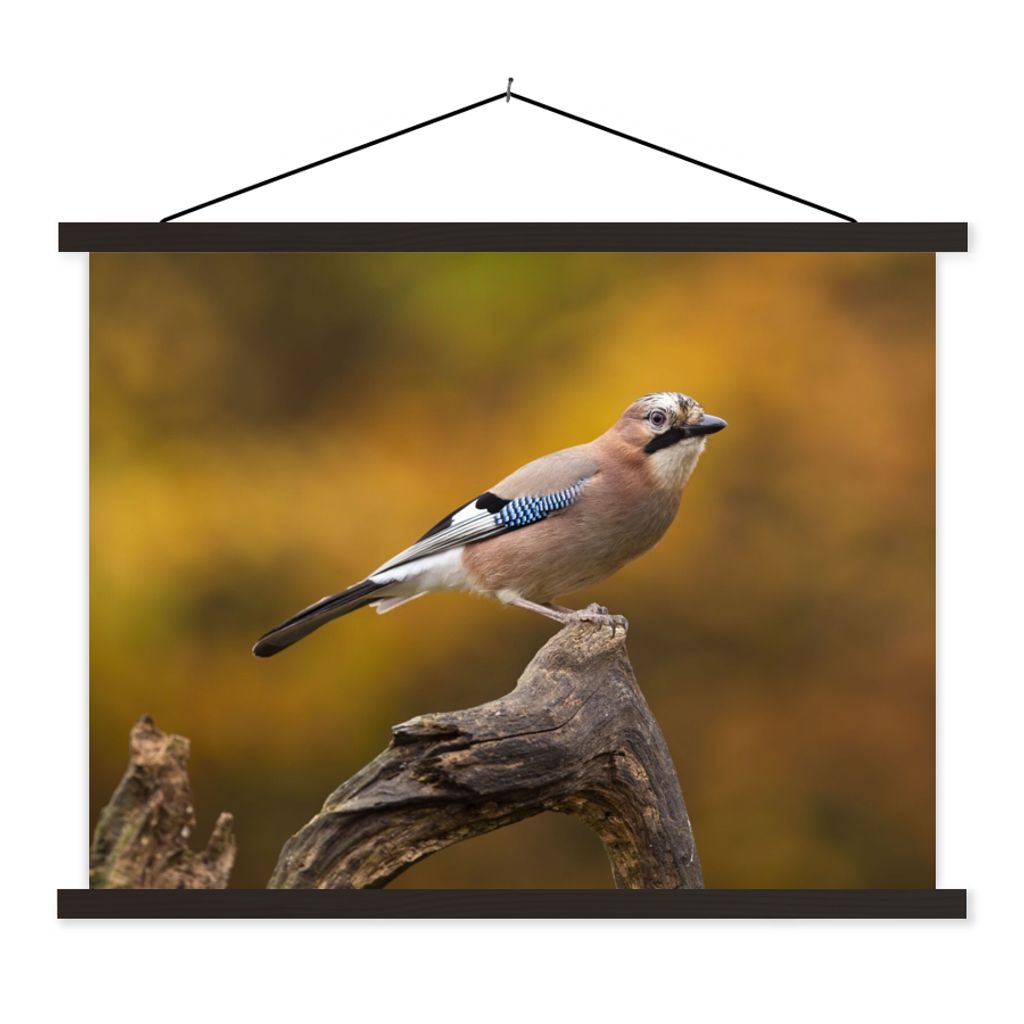 MuchoWow Textilposter Vogel - Zweig - Eichelhäher 150x113 cm mit holzfarbenen Rahmen - Poster