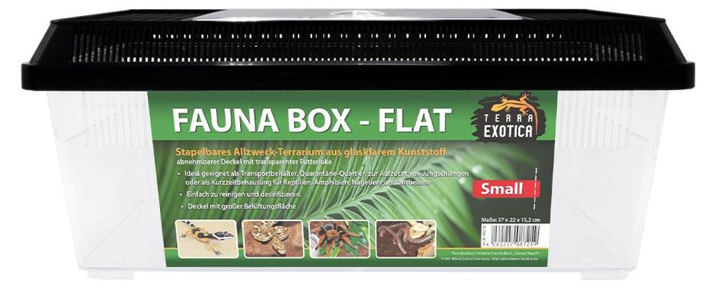 Fauna Box Flat Small 37 x 22 x 15,2 cm – Transport- & Zuchtbox für Reptilien, Amphibien und Insekten