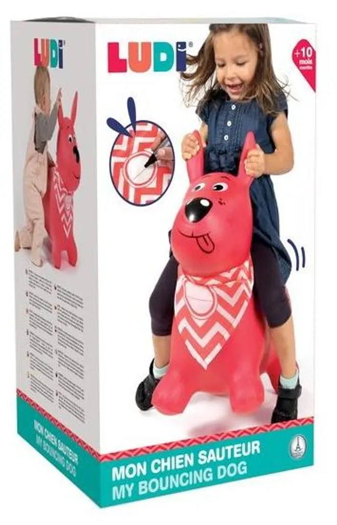 Ludi Chien Sauteur Rose : Ballon de Saut Ludique pour Enfant dès 10 Mois