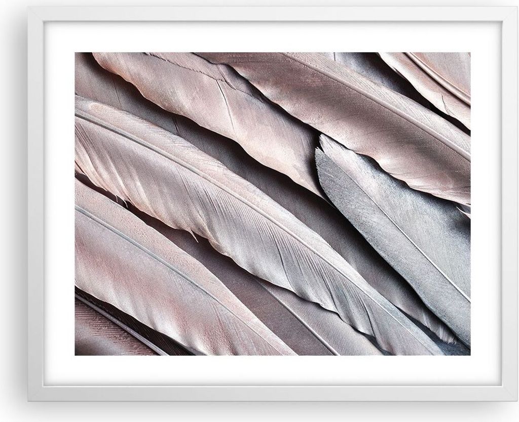 Gerahmtes Poster - Weißer Rahmen - Federn Flügel Feder - 50x40 cm - Wand Bild - Wanddeko - Wandbilder - Kunstposter - Wandposter - Bilderrahmen -...