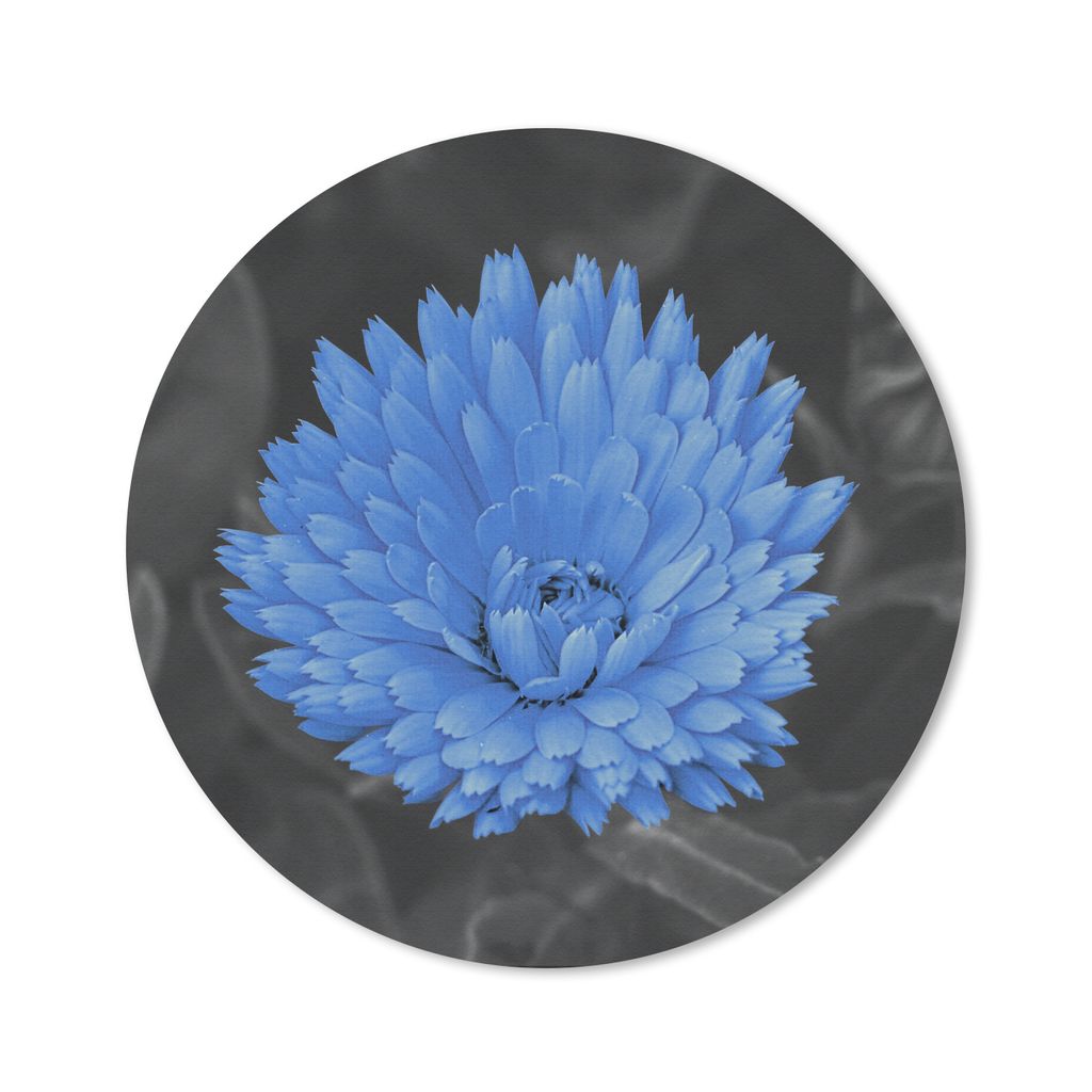 MuchoWow Mauspad Mousepad Blumen - Schwarz - Weiß - Blau 40x40 cm - Mousepads - Maus Mat - Pad - Mausunterlage - Schreibtisch Accessoires