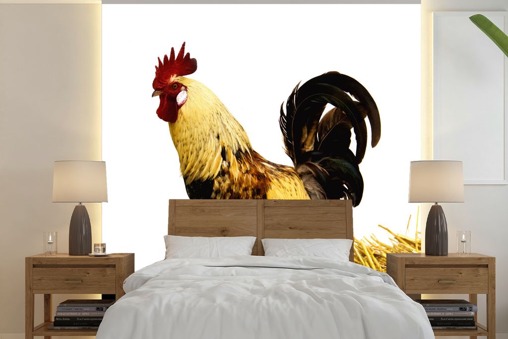 MuchoWow Fototapete für Wohnzimmer oder Schlafzimmer Wandtapete Vinyl Motivtapete Hahn isoliert auf weiß - 260x260 cm - Papiertapeten