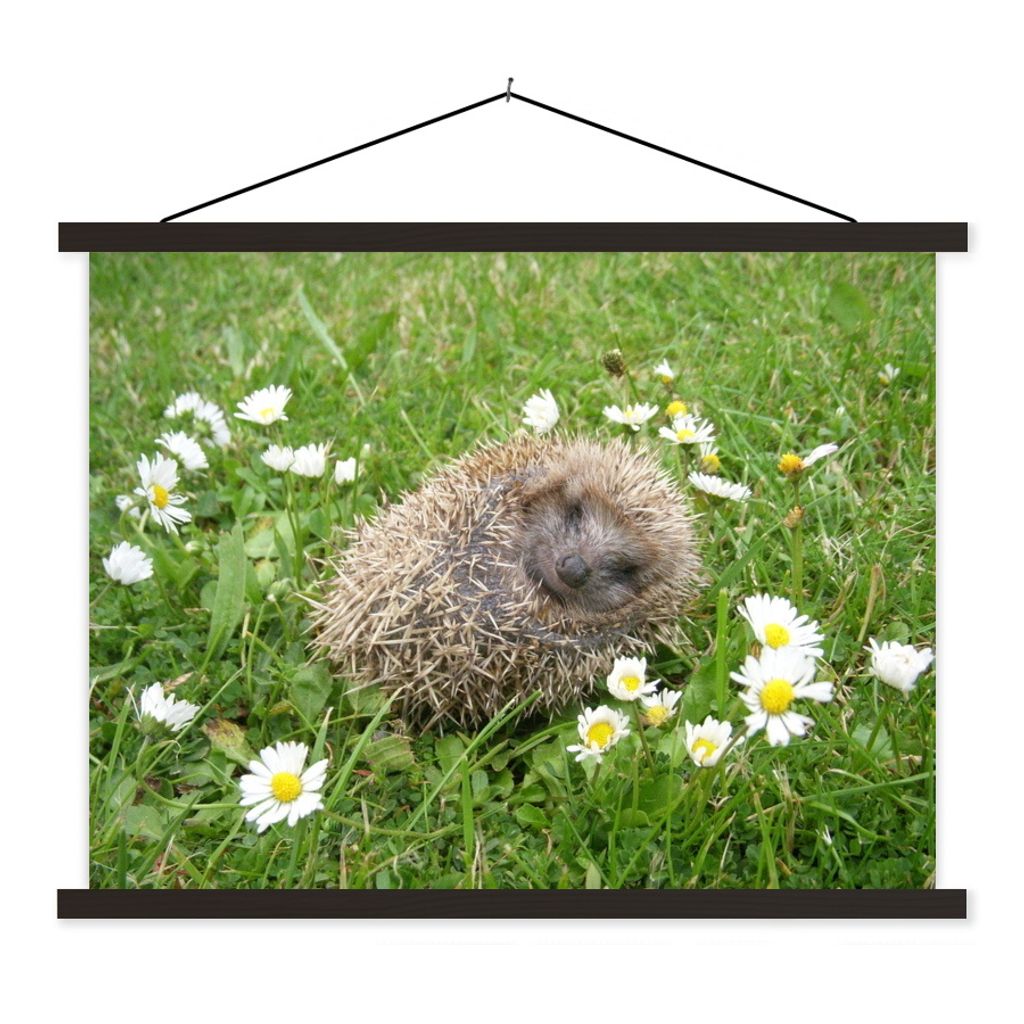 MuchoWow Textilposter Schlafender Igel 60x45 cm mit schwarzem Rahmen - Poster Schlafzimmer