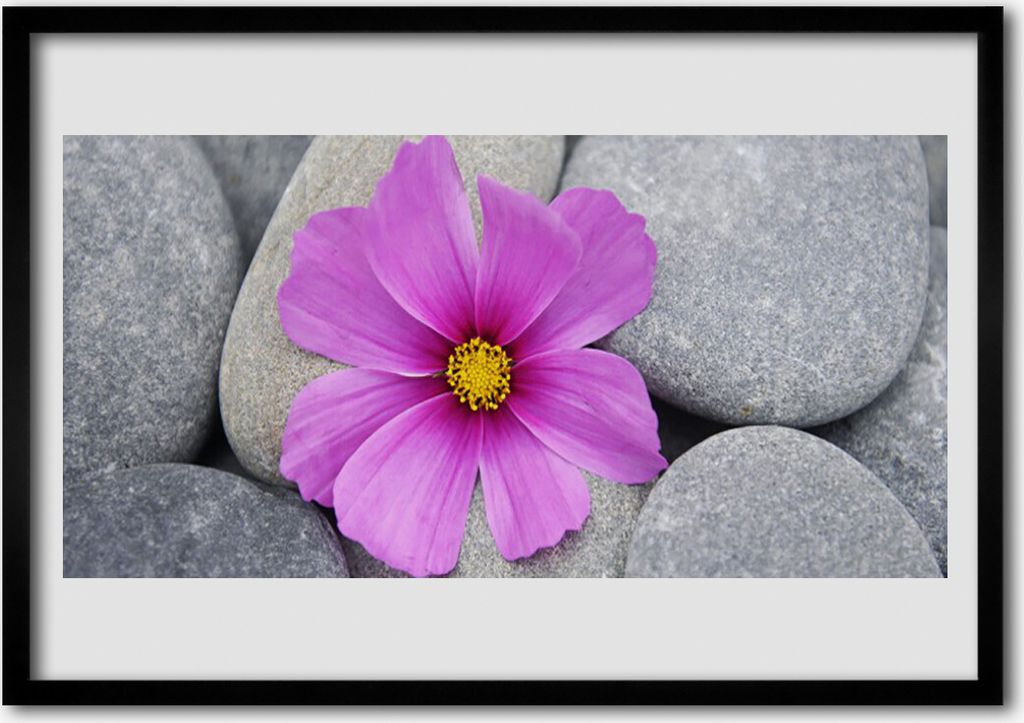 Bild 70x50 MDF-Rahmen Wandkunst Spa Blume Pflanze