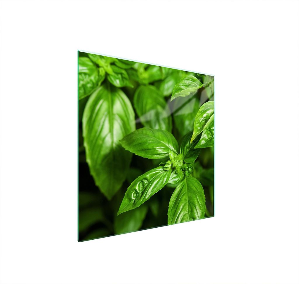 Glasschutzplatte Für Herd 50X52 Basil