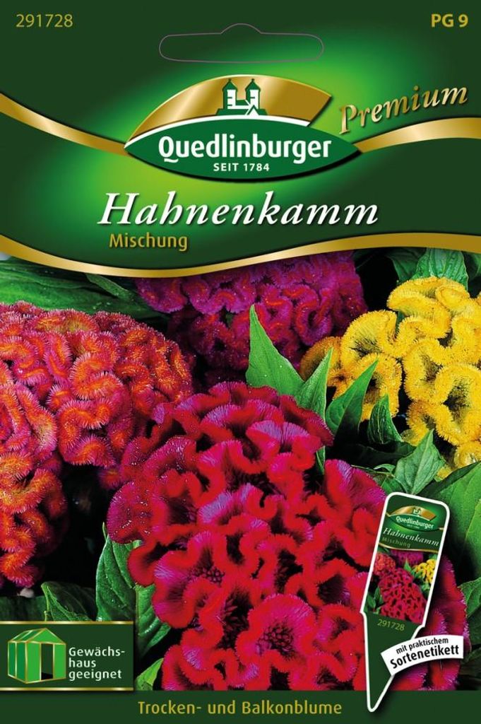 Hahnenkamm Mischung | Blumensamen von Quedlinburger Produktbild 
