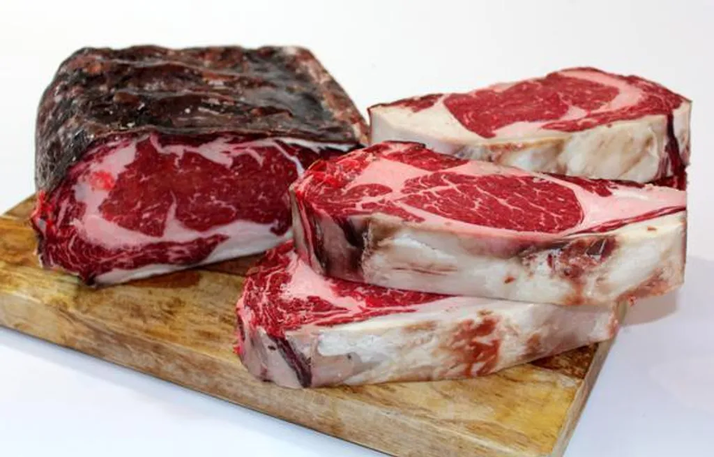 UMAi Dry Kit Maturation à Sec avec VacMouse 3 Sacs Haute Qualité