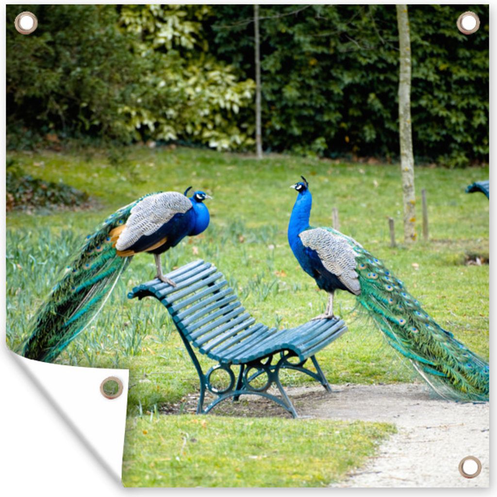 MuchoWow 100x100 cm Outdoor-Poster Gartendeko Sichtschutz Garten Poster für den Garten Pfau - Bank - Park