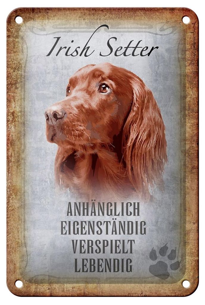 Blechschild Spruch 12x18cm Irish Setter Hund Schild