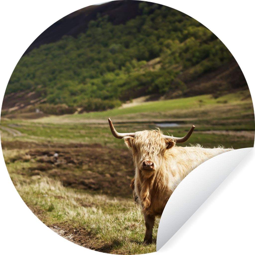 MuchoWow Runde Wandtattoo - Wandsticker Tapete Aufkleber Schottische Highlander - Pfad - Wald Ø 30 cm Selbstklebend und Repositionierbar - Wanda...