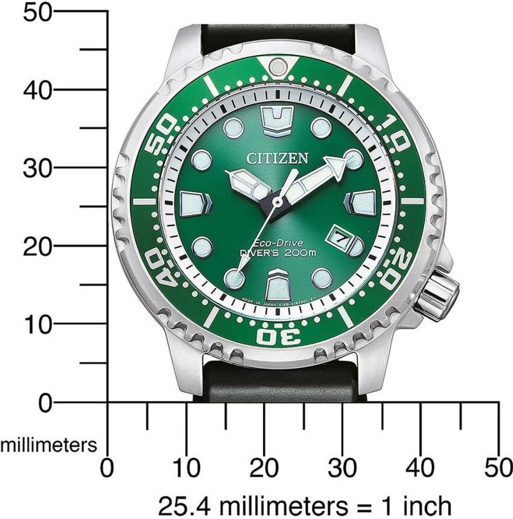 Citizen BN0158-18X Promaster Divers Uhr Herrenuhr Datum schwarz