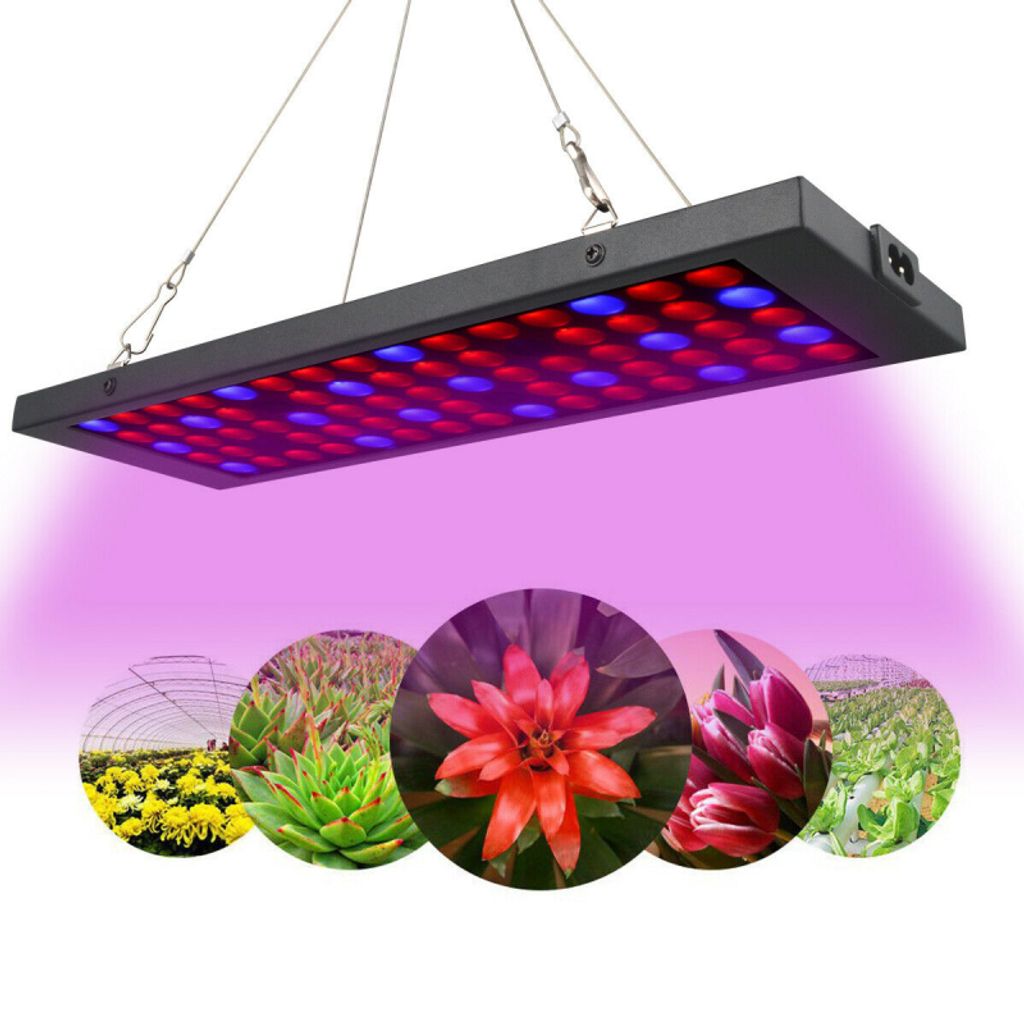600W LED Grow Light Pflanzenlampe Indoor Plant Lamp Vollspektrum Blüte Gemüse DE 