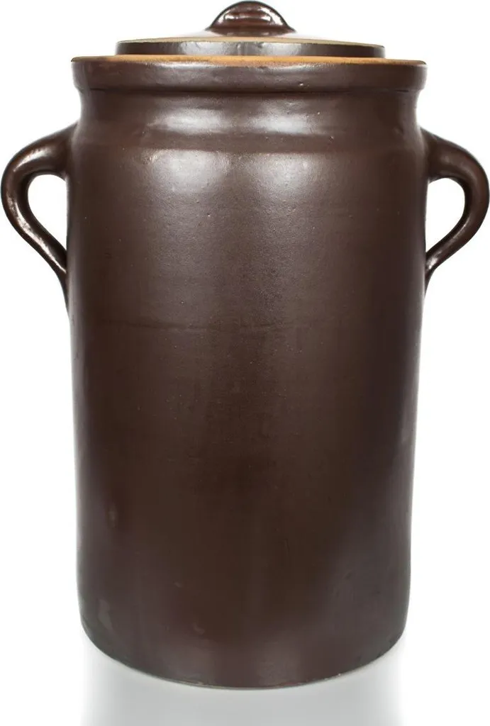 Jarre à Rhum et Fruits 50L en Grès Émaillé - Pot de Fermentation Gärtopf