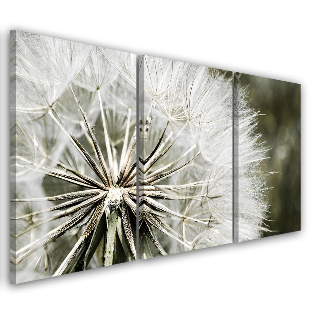 Triptychon auf leinwand weiße blumen 60x40 cm Feeby weiß wandbild bereit zum aufhängen
