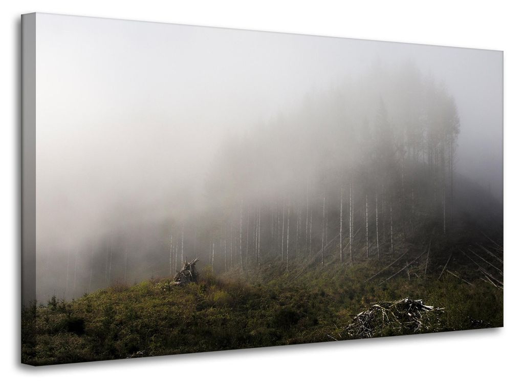 Leinwanddruck Natur Nebel im Wald 100x60 cm