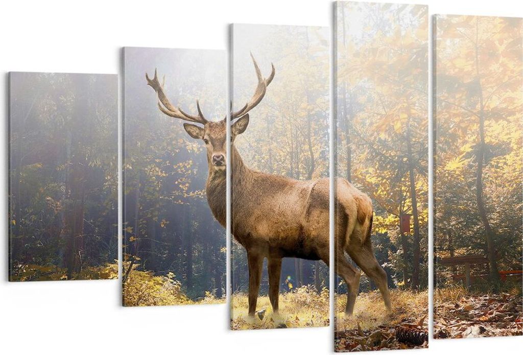 Bild auf Leinwand - Leinwandbild - 5 Teile - Licht Hirsch Wald - 150x100cm - Wand Bild - Wanddeko - Wandbilder - Leinwanddruck - Bilder - Wanddekor...