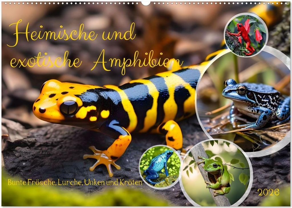 Heimische und exotische Amphibien (Wandkalender 2026 DIN A2 quer), CALVENDO Monatskalender