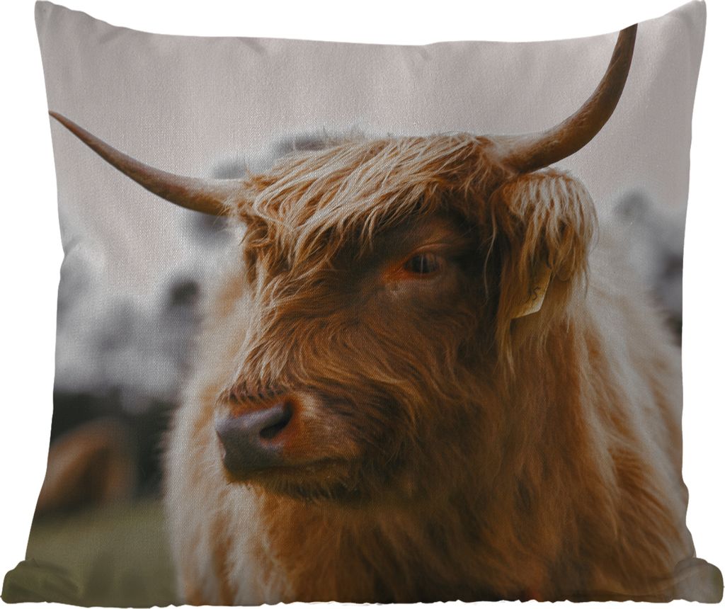 MuchoWow Outdoor Kissen - Schottisches Hochlandrind - Tiere - Hörner - 45x45 cm - Wetterfest - Lounge Kissen - Fotokissen - Dekoratives Kissen