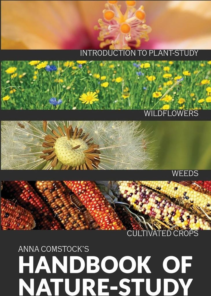 The Handbook Of Nature Study in Color - Wildflowers, Weeds & Cultivated Crops