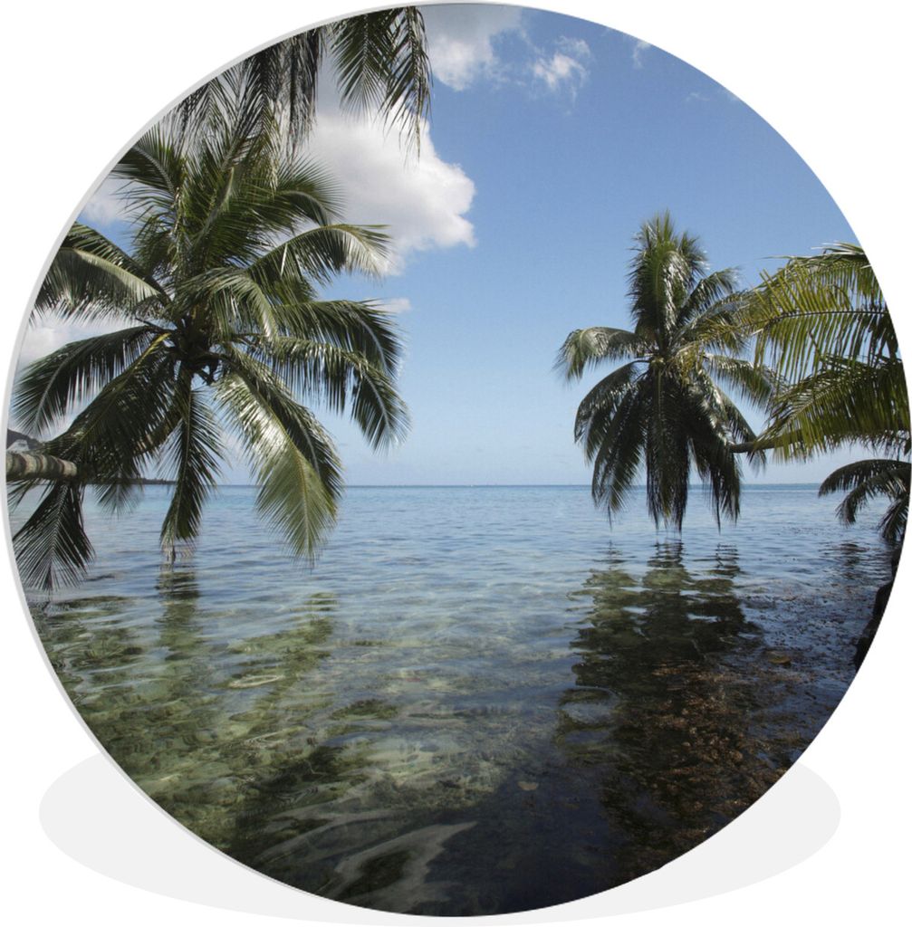 MuchoWow Rundes Wandbild - Runde Bilder Spiegelung der Palmen im Meer von Mo'orea Ø 60 cm Kreis Wanddekoration Kunststoff - Wandkreis - Wandschm...
