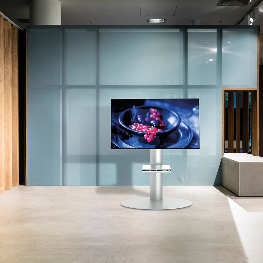 Support TV Mural Argenté ROLINE 32-55 pouces - Solution Anti-Chute